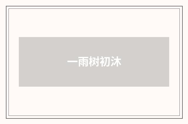 一雨树初沐