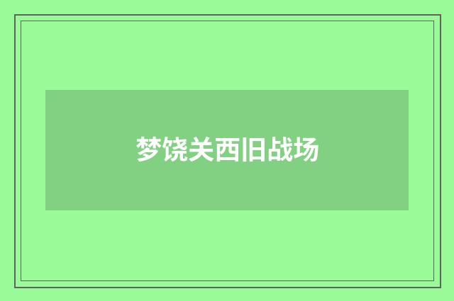 梦饶关西旧战场