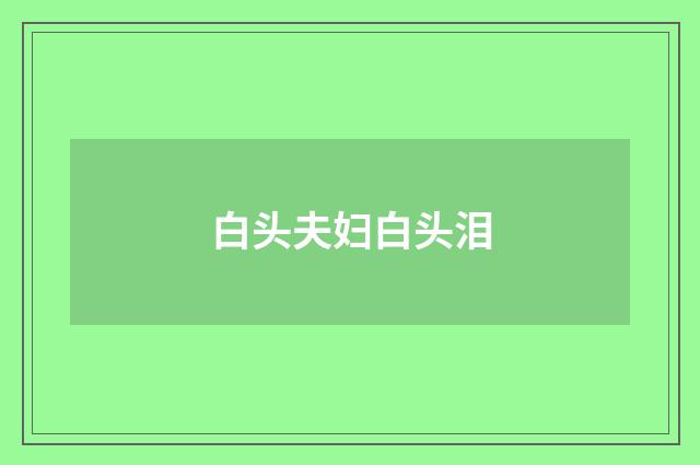 白头夫妇白头泪