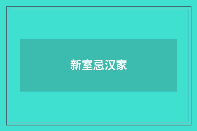 新室忌汉家