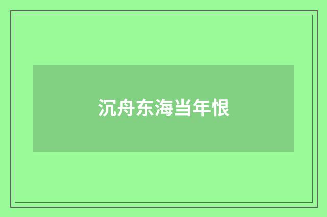 沉舟东海当年恨