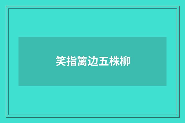 笑指篱边五株柳