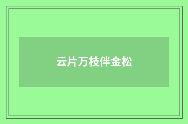 云片万枝伴金松