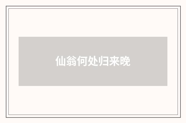 仙翁何处归来晚