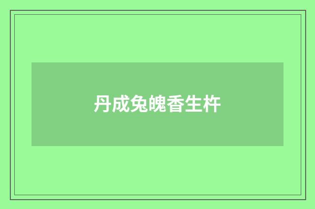 丹成兔魄香生杵
