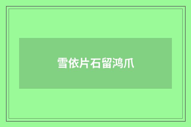 雪依片石留鸿爪
