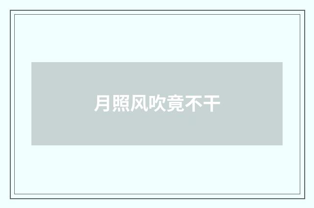月照风吹竟不干