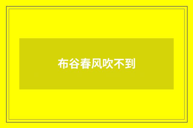布谷春风吹不到