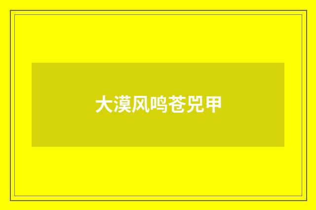 大漠风鸣苍兕甲