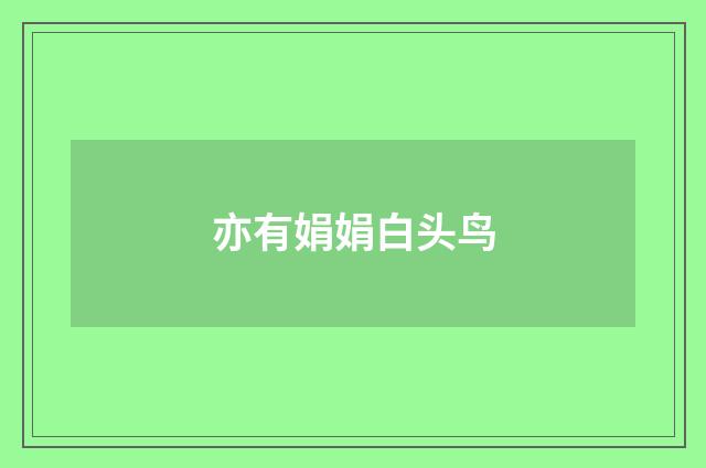 亦有娟娟白头鸟
