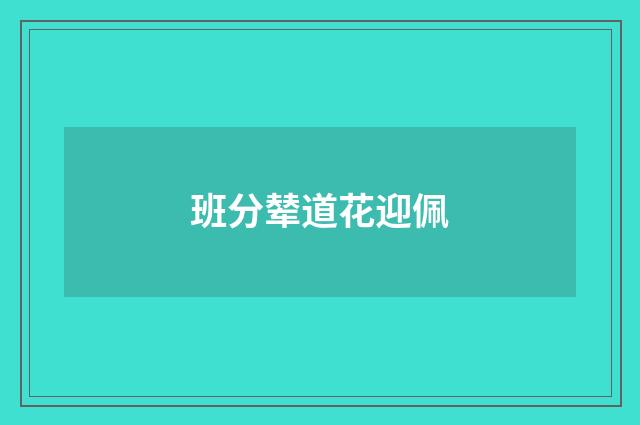 班分辇道花迎佩