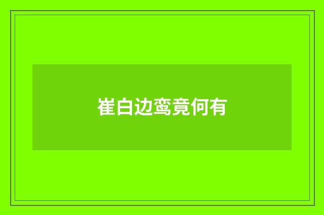 崔白边鸾竟何有