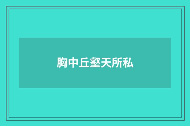 胸中丘壑天所私