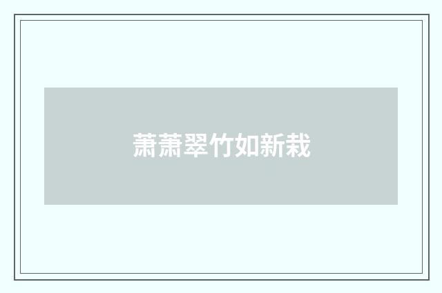 萧萧翠竹如新栽