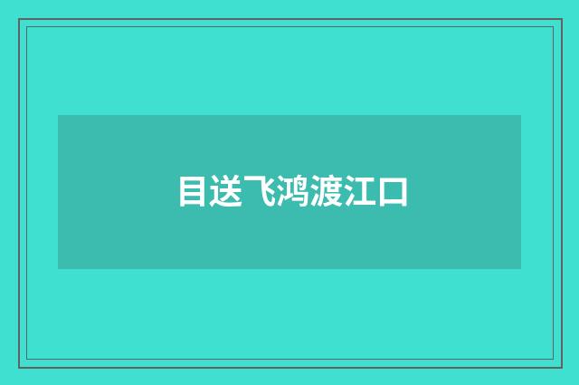 目送飞鸿渡江口