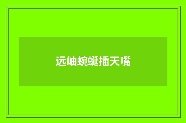 远岫蜿蜒插天嘴