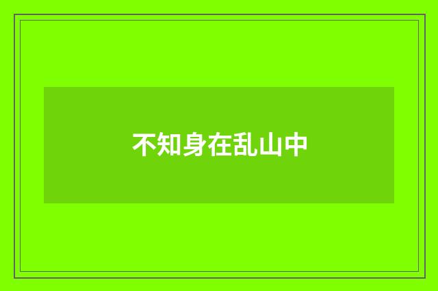 不知身在乱山中