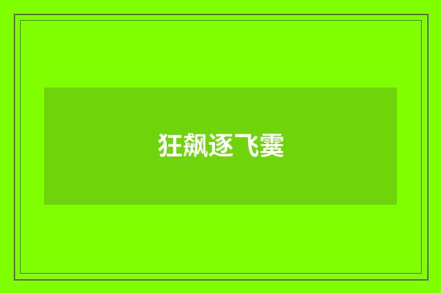 狂飙逐飞霙