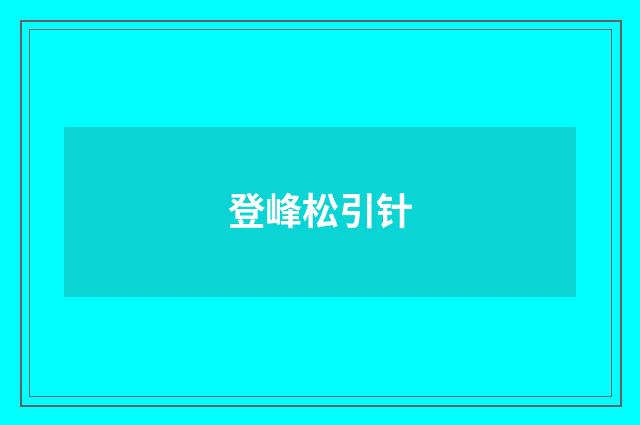 登峰松引针