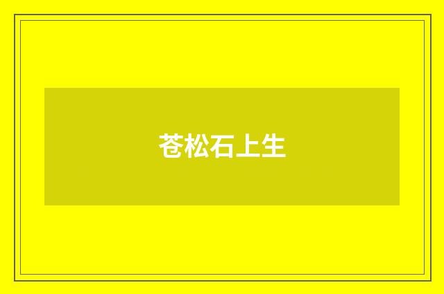 苍松石上生