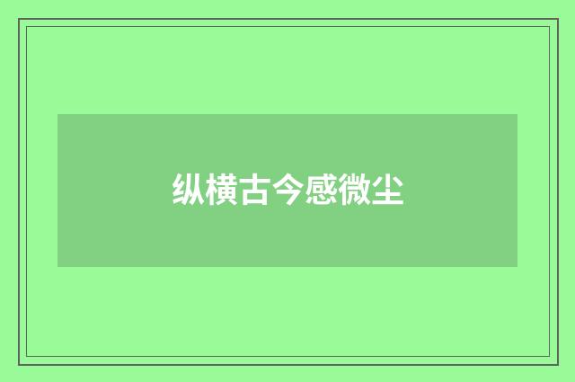 纵横古今感微尘