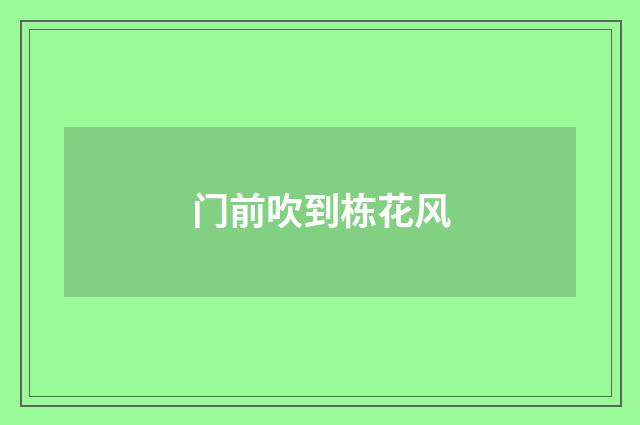 门前吹到栋花风