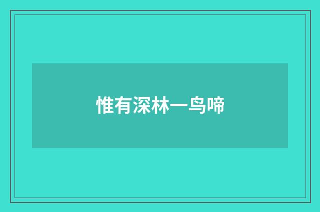 惟有深林一鸟啼