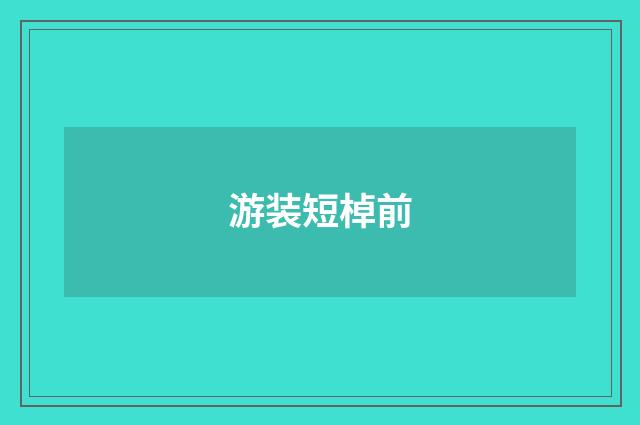 游装短棹前