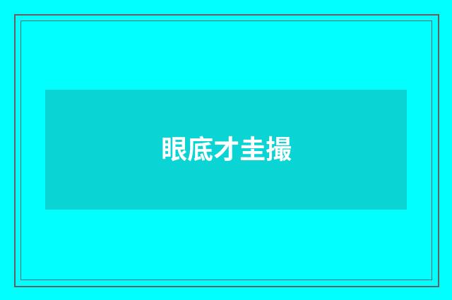 眼底才圭撮