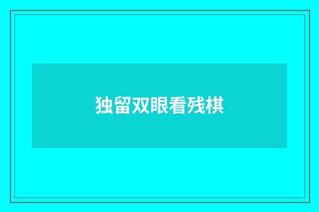 独留双眼看残棋