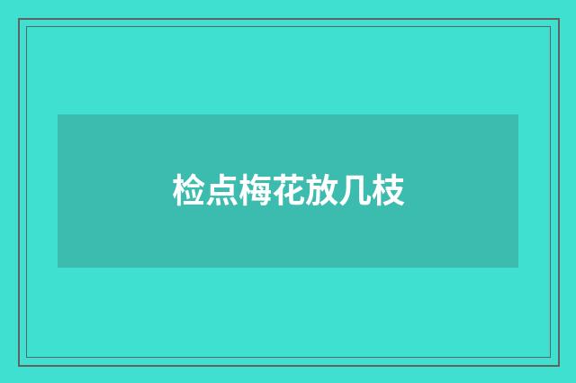 检点梅花放几枝