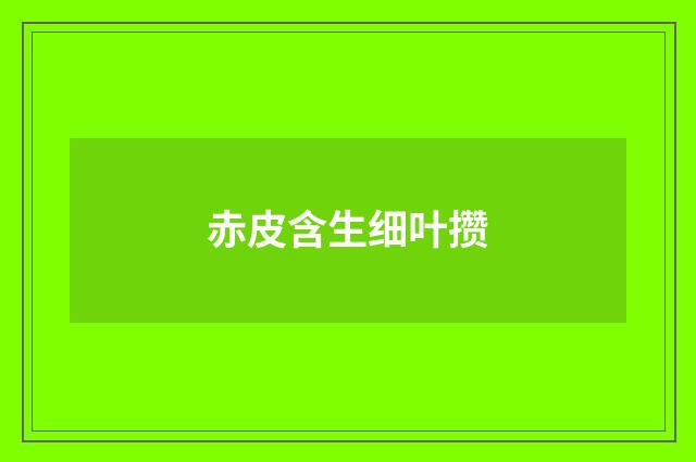 赤皮含生细叶攒