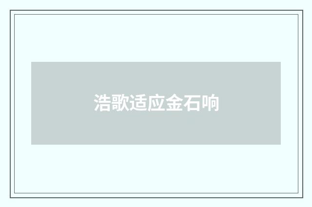 浩歌适应金石响