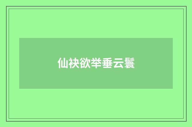仙袂欲举垂云鬟