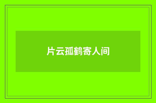 片云孤鹤寄人间