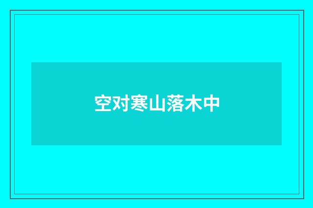 空对寒山落木中