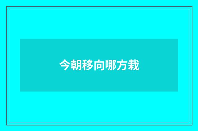 今朝移向哪方栽