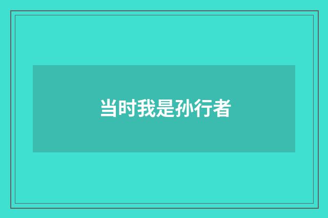当时我是孙行者