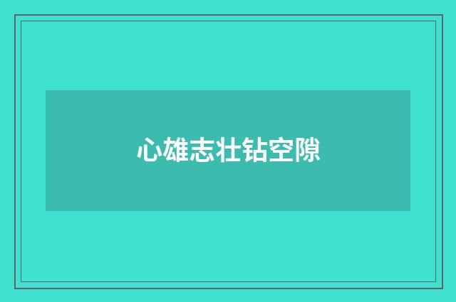 心雄志壮钻空隙