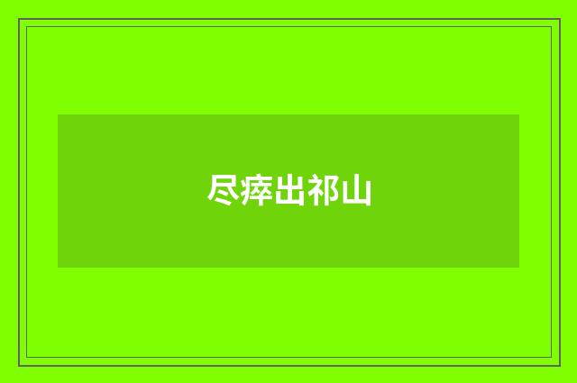 尽瘁出祁山