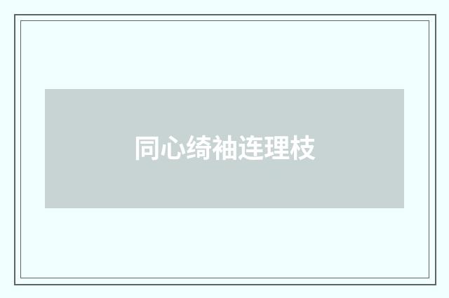 同心绮袖连理枝