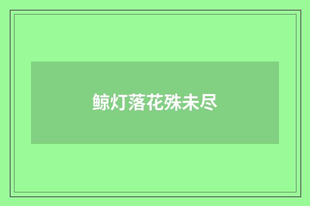 鲸灯落花殊未尽
