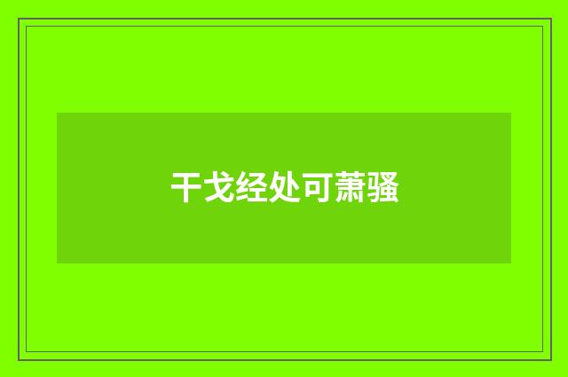 干戈经处可萧骚