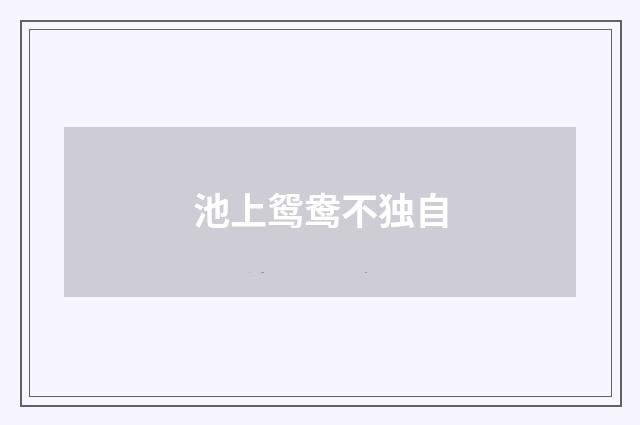 池上鸳鸯不独自