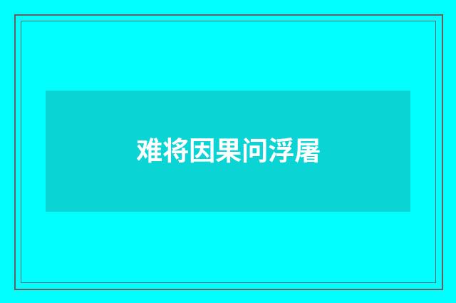 难将因果问浮屠