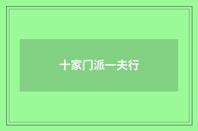 十家门派一夫行