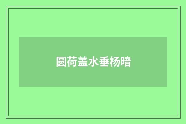 圆荷盖水垂杨暗