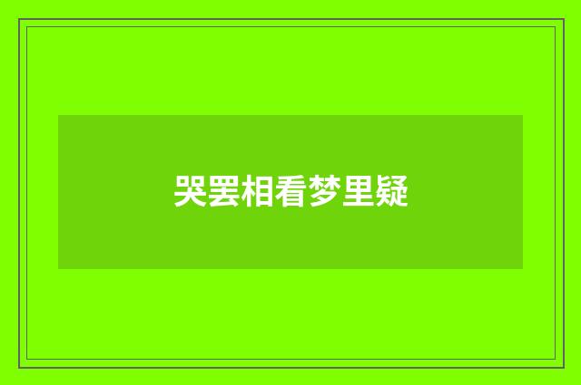 哭罢相看梦里疑