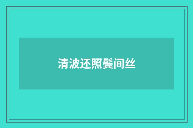 清波还照鬓间丝