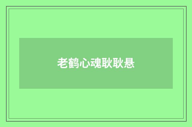 老鹤心魂耿耿悬